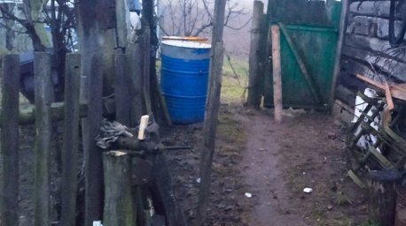 Агрессивную собаку застрелили в Копыльском районе, ее проверят на бешенство