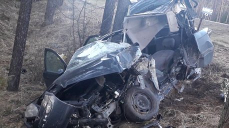 Легковушка врезалась в дерево под Бегомлем, водитель погиб