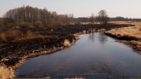 В Каменецком районе мужчина на рыбалке по неосторожности устроил пал травы